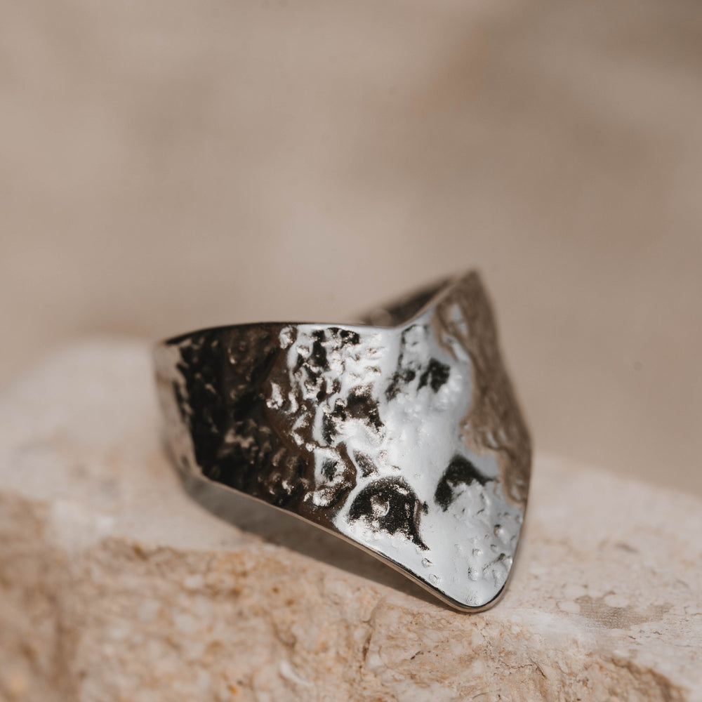 Lyon | Bague en acier inoxydable | Argenté