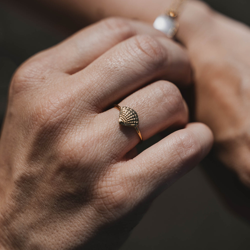 
                      
                        Holbox | Bague en acier inoxydable | Doré
                      
                    