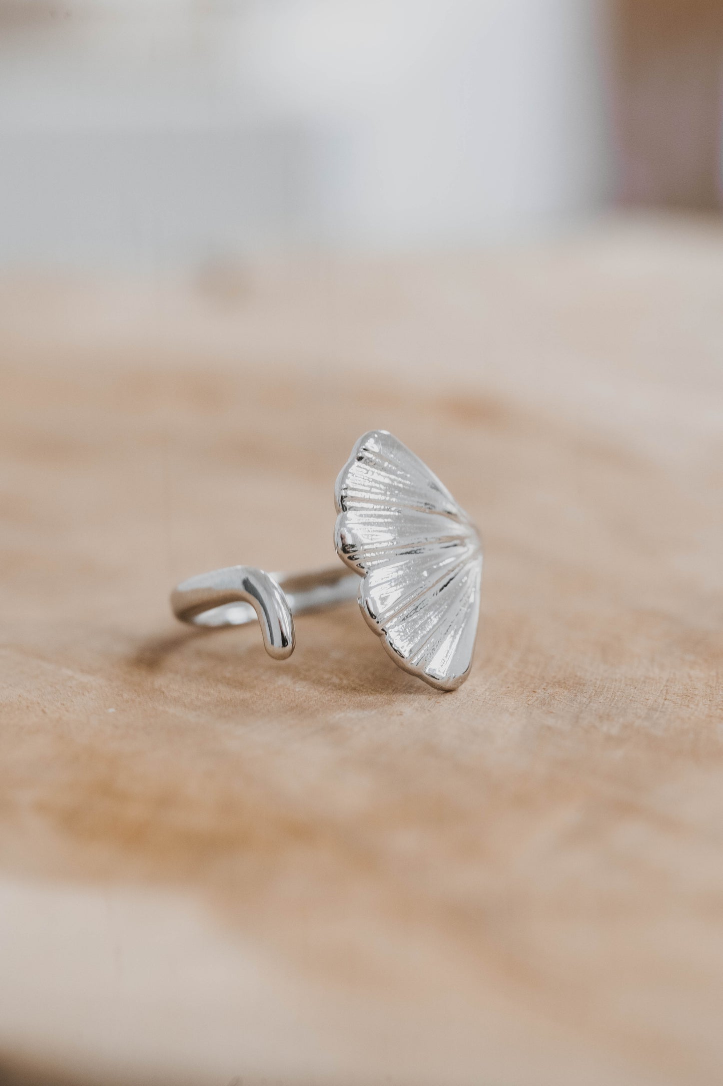 Es Vedra | Bague en acier inoxydable | Argenté