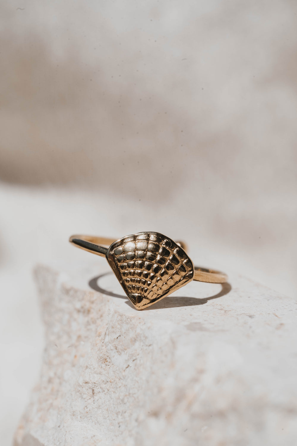 Holbox | Bague en acier inoxydable | Doré