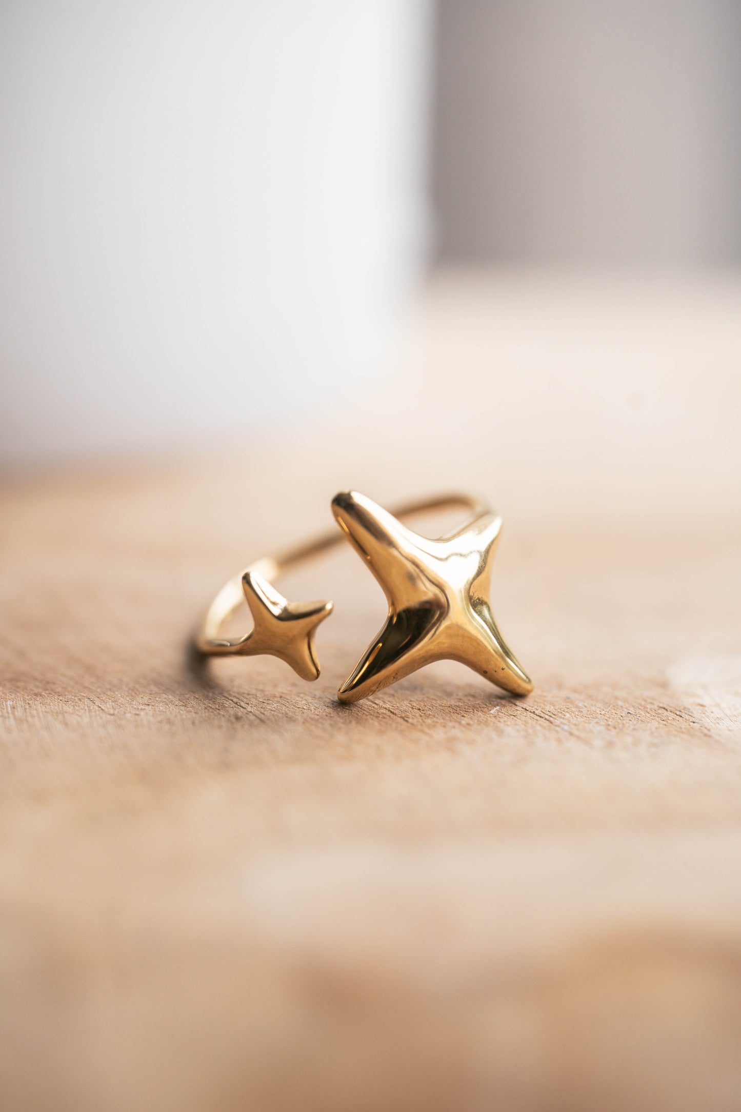 Sirius | Bague en acier inoxydable | Doré