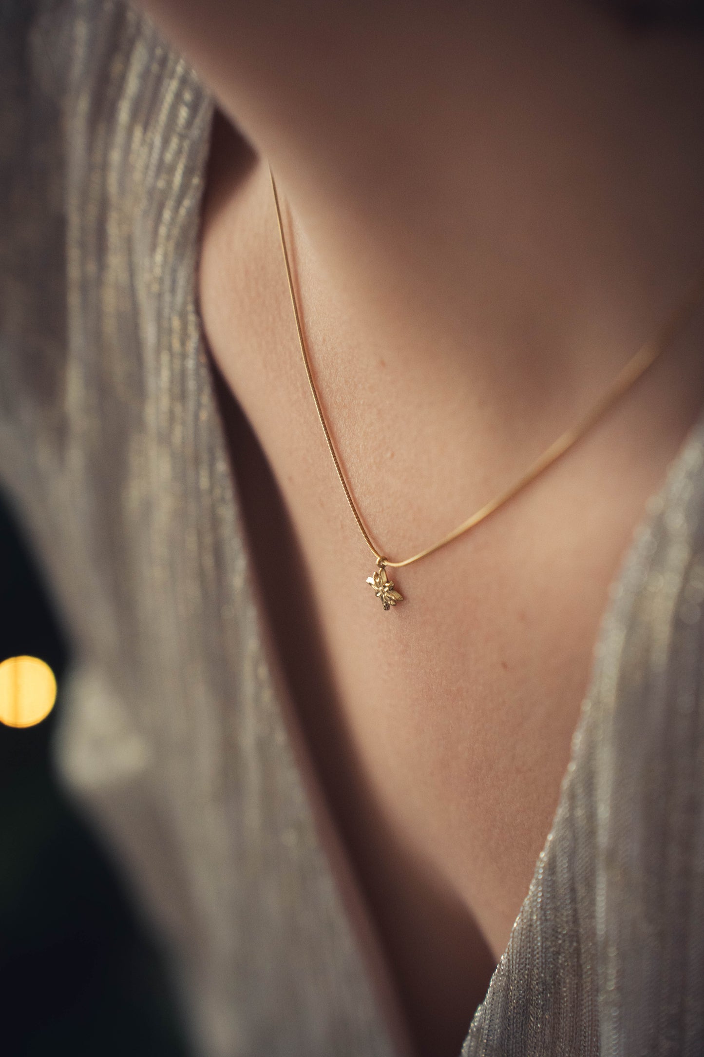 Sirius | Collier en acier inoxydable | Doré